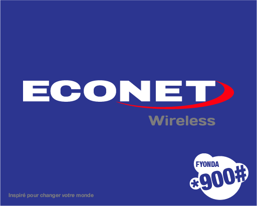 Econet Wireless Website Article